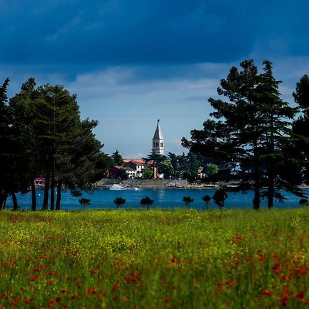 Belvedere Holidays Villas Novigrad Istria Exteriér fotografie