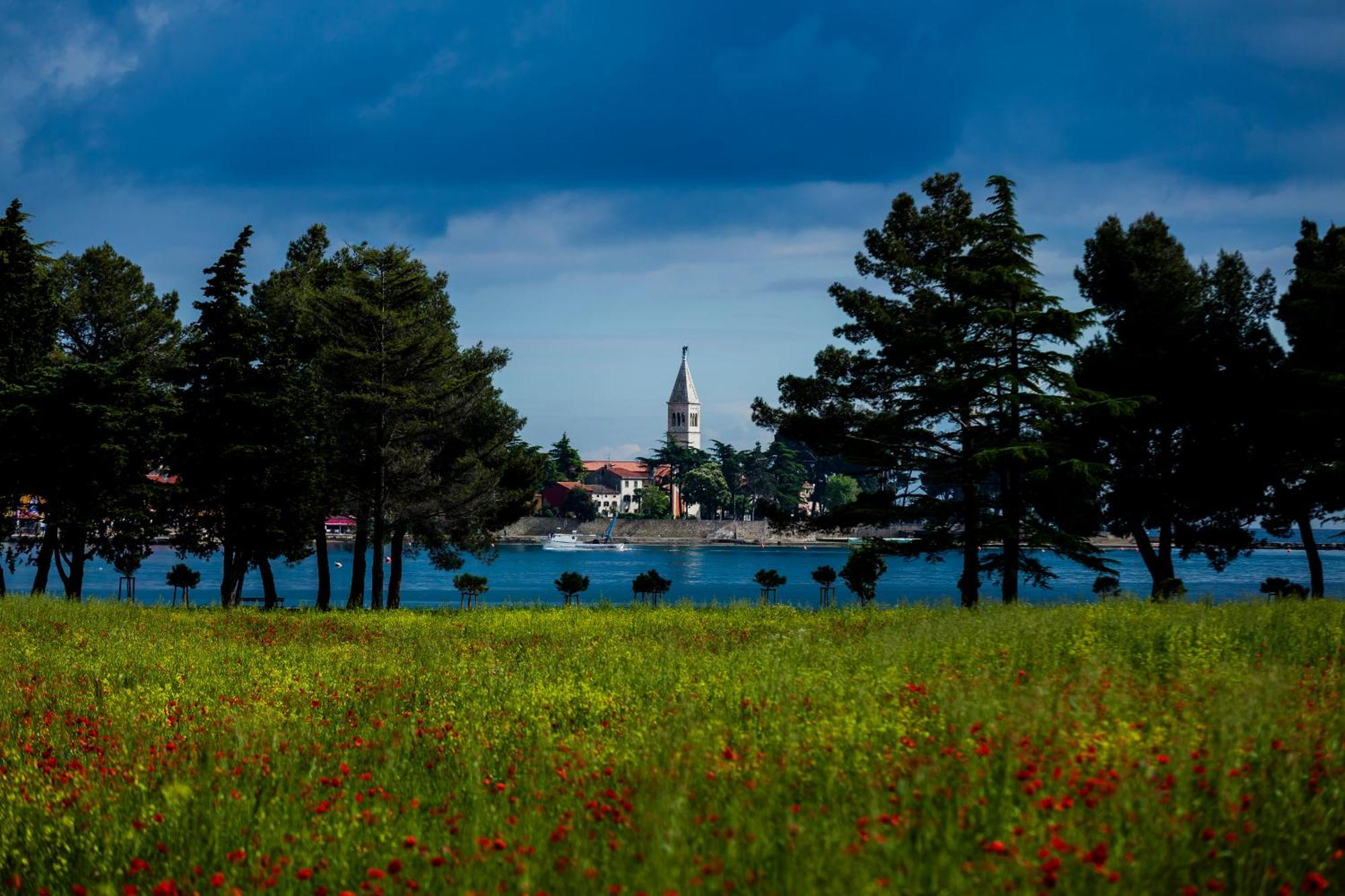 Belvedere Holidays Villas Novigrad Istria Exteriér fotografie